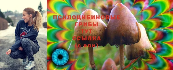 apvp Арсеньев